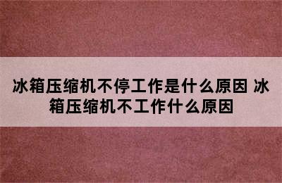 冰箱压缩机不停工作是什么原因 冰箱压缩机不工作什么原因